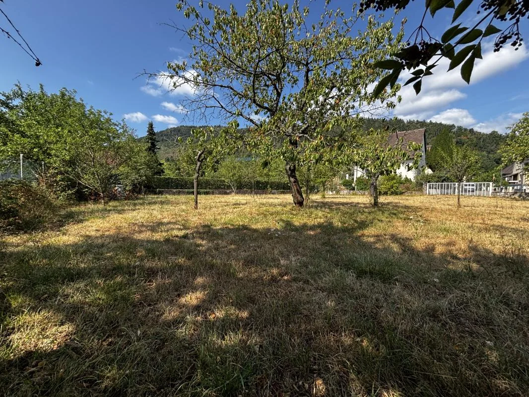 Terrain arboré de 484 m² proposé à Châtenois.